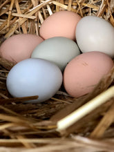 Cargar imagen en el visor de la galería, Organic Free Range Chicken Eggs
