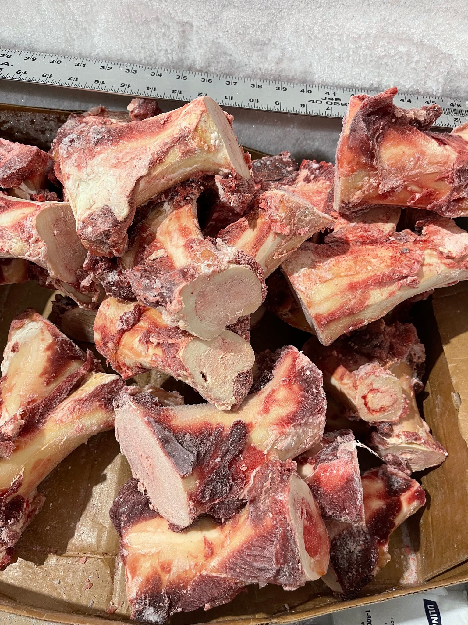 Center Cut Raw Beef Marrow Bones Raw Dog Food FL