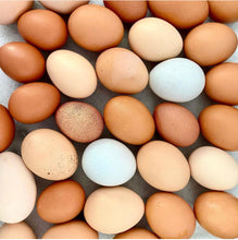 Cargar imagen en el visor de la galería, Organic Free Range Chicken Eggs
